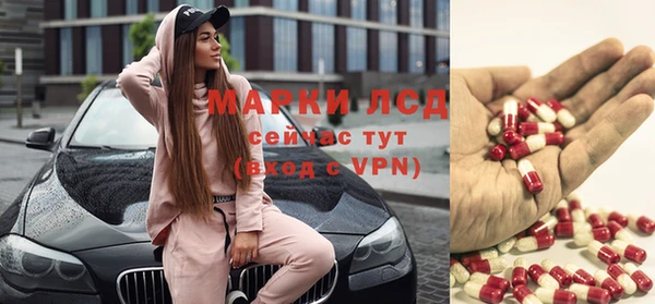 стаф Абинск