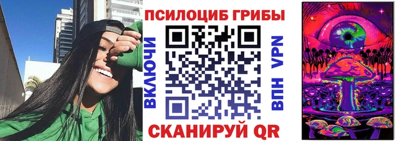 Псилоцибиновые грибы Psilocybine cubensis Брюховецкая